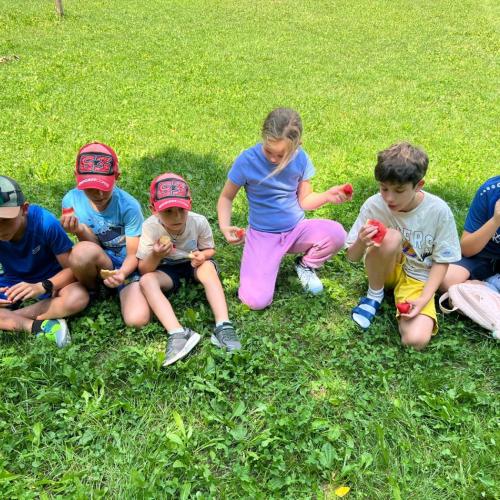 Kinder beim Wiesen-Picknick 