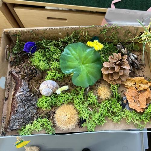 Darstellung einer Wald-Wiese